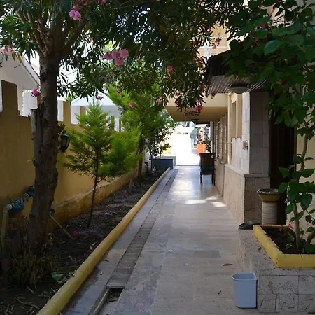 Safari 3* Side